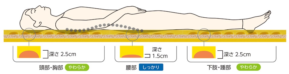 ディンプルの深さを変えて理想的な寝姿勢を実現