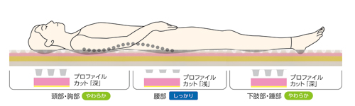 Sラインを保持して快適な寝心地