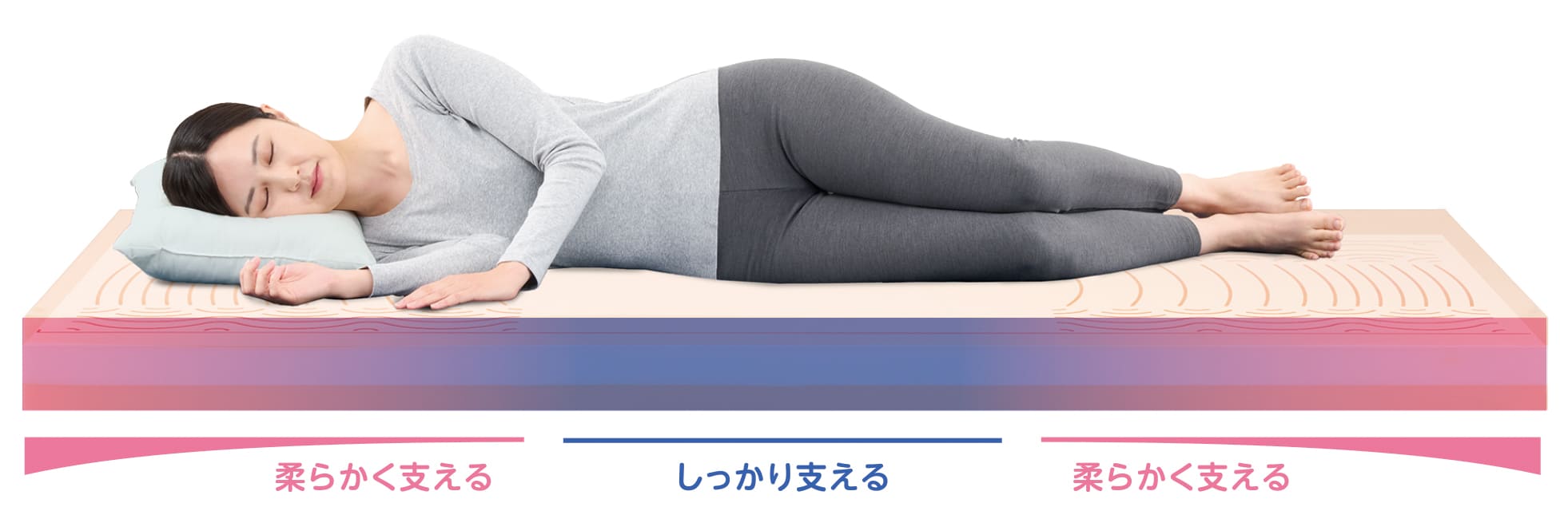自然な背骨のSラインを保持（グラデーションスリット構造）
